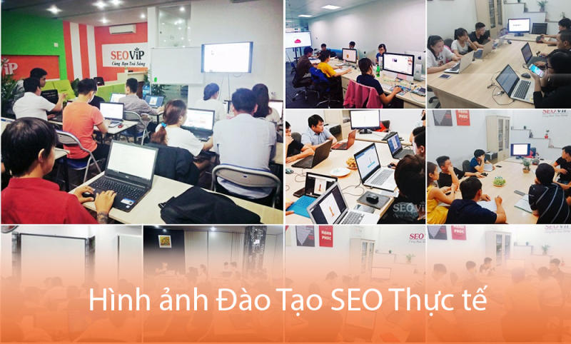 Khóa Đào Tạo SEO Đà Nẵng – Cầm Tay Chỉ Việc 1:1, Đưa Từ Khóa Lên TOP Google